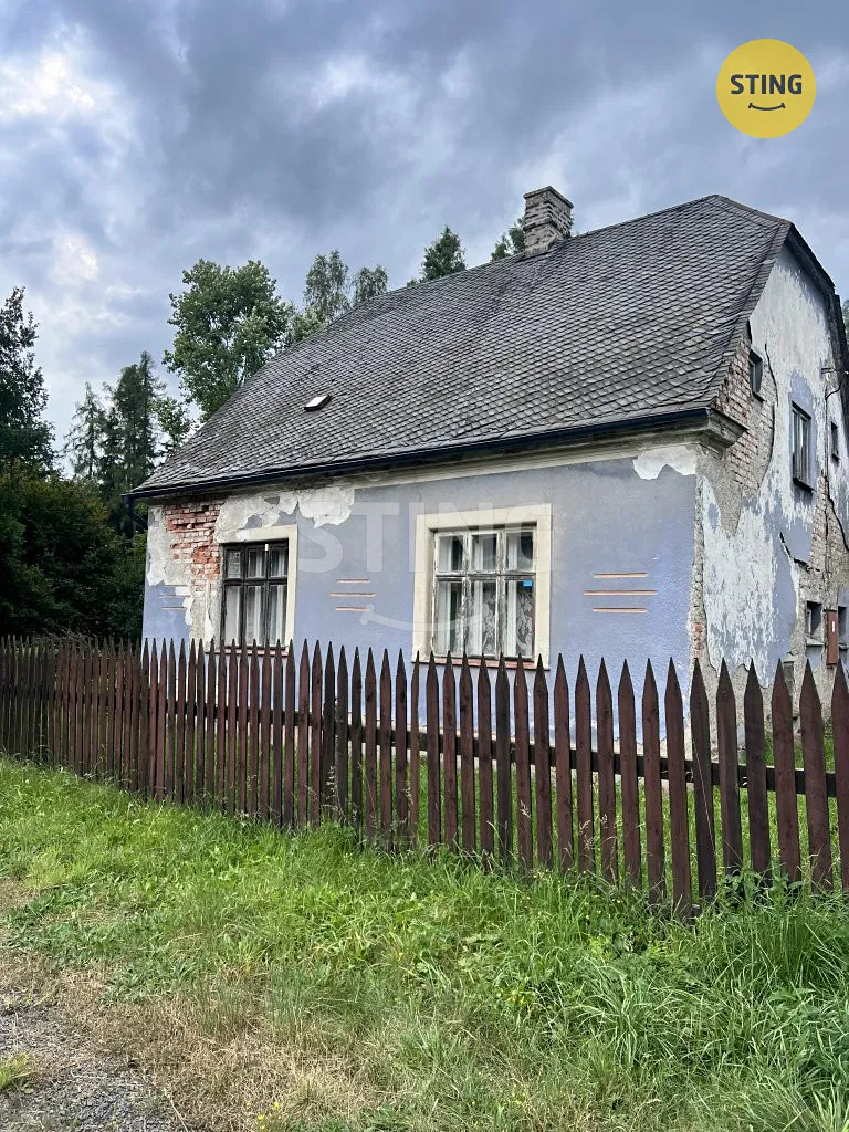 Fotka 14 z 19